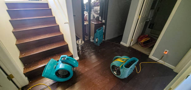 Best Water damage restoration company  in Clare, MI