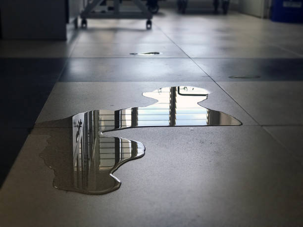 Best Water damage restoration services  in Clare, MI